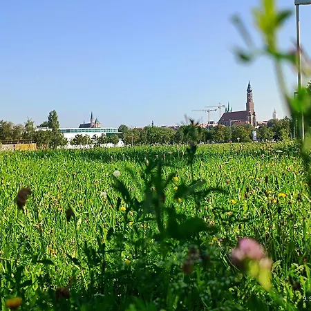 G.a.d.d 001 Glueck An Der Donau Straubing